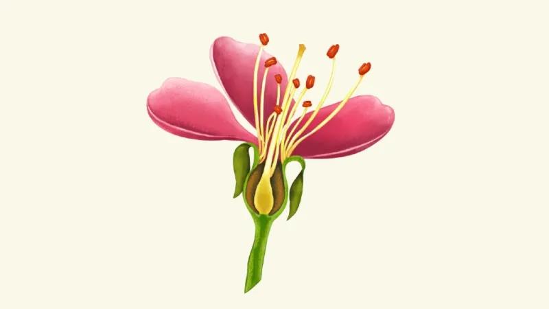 进来抄作业，启动子要这么选