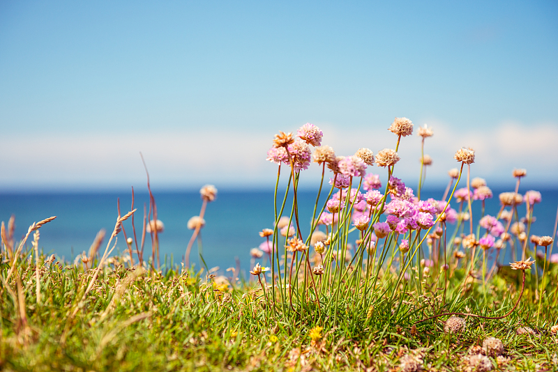 深度解盘股票,深度解析股票投资