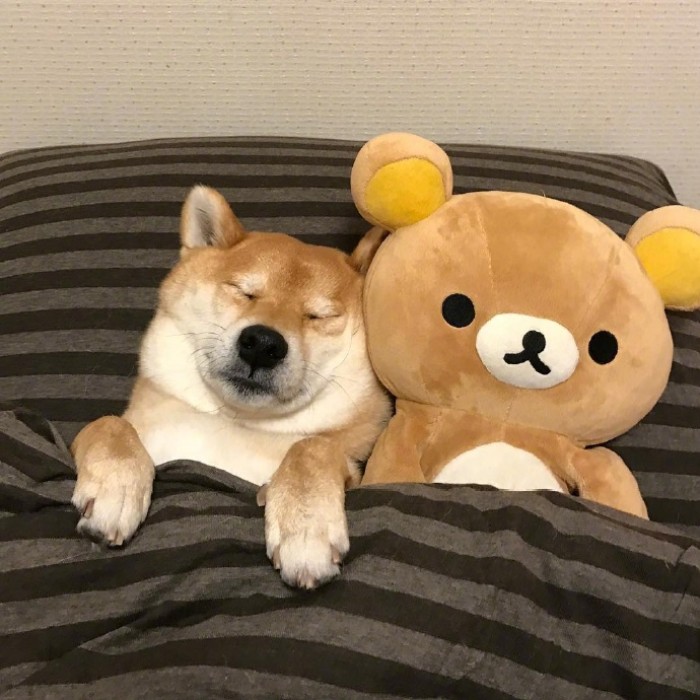 自信是一个人最好的状态,自信的人未必聪明