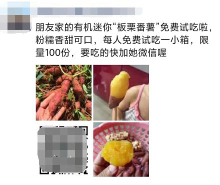 案值6.6亿元走私水果案告破,试吃水果骗局