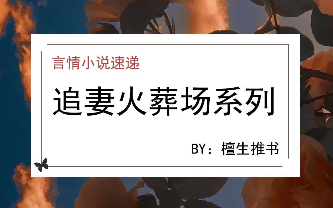 五本追妻火葬场仙侠文,五本男追女的小说