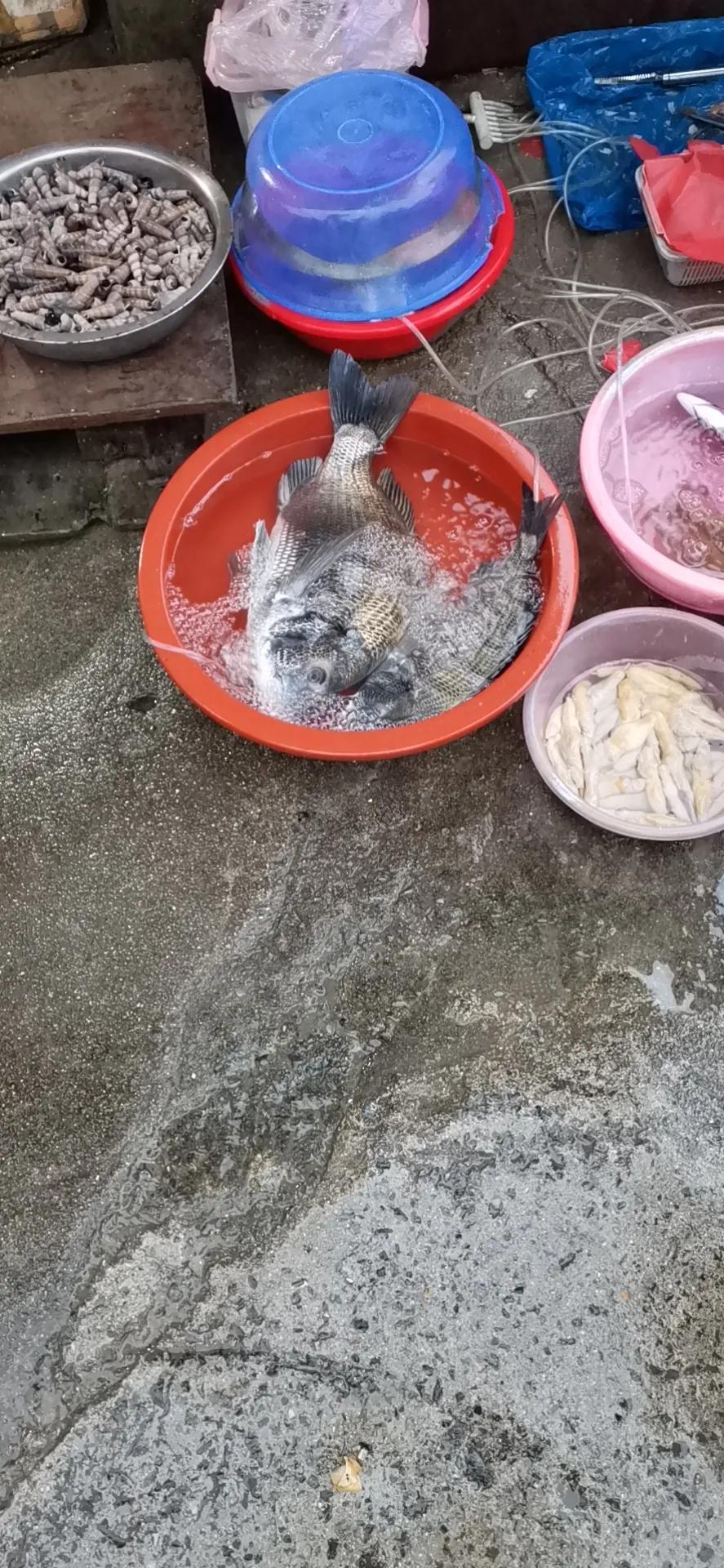 罗源滨海新城目前人口,罗源滨海新城多少亩地