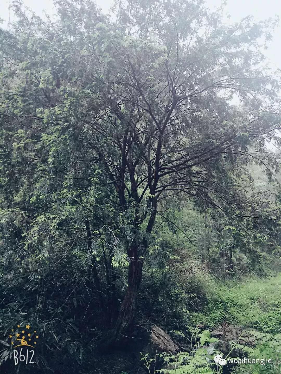 泾县哪些地方值得去,泾县值得去吗