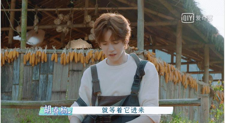 从《春日酱》到《恰好是少年》，旅行综艺进入“他时代”？