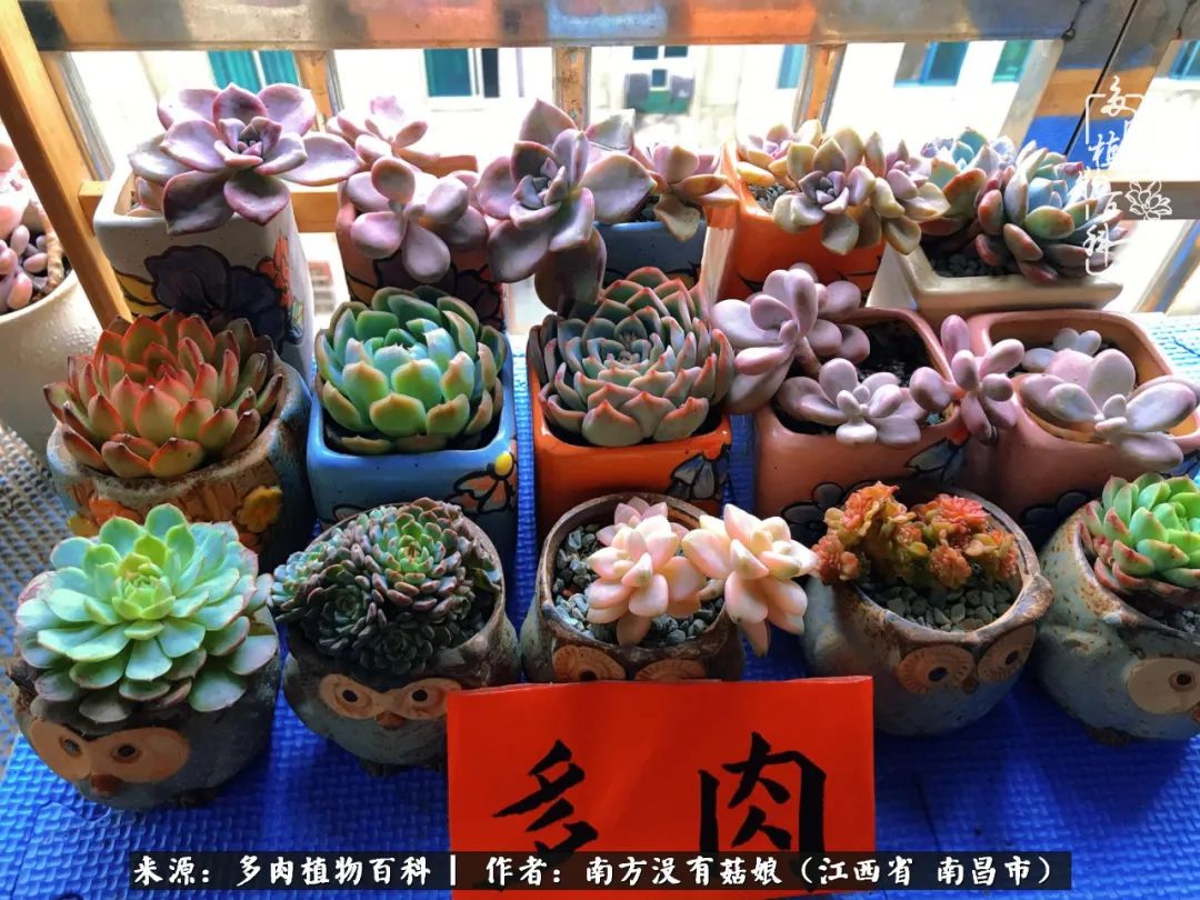 既见云胡不喜,既见君子云胡不喜毛笔楷书