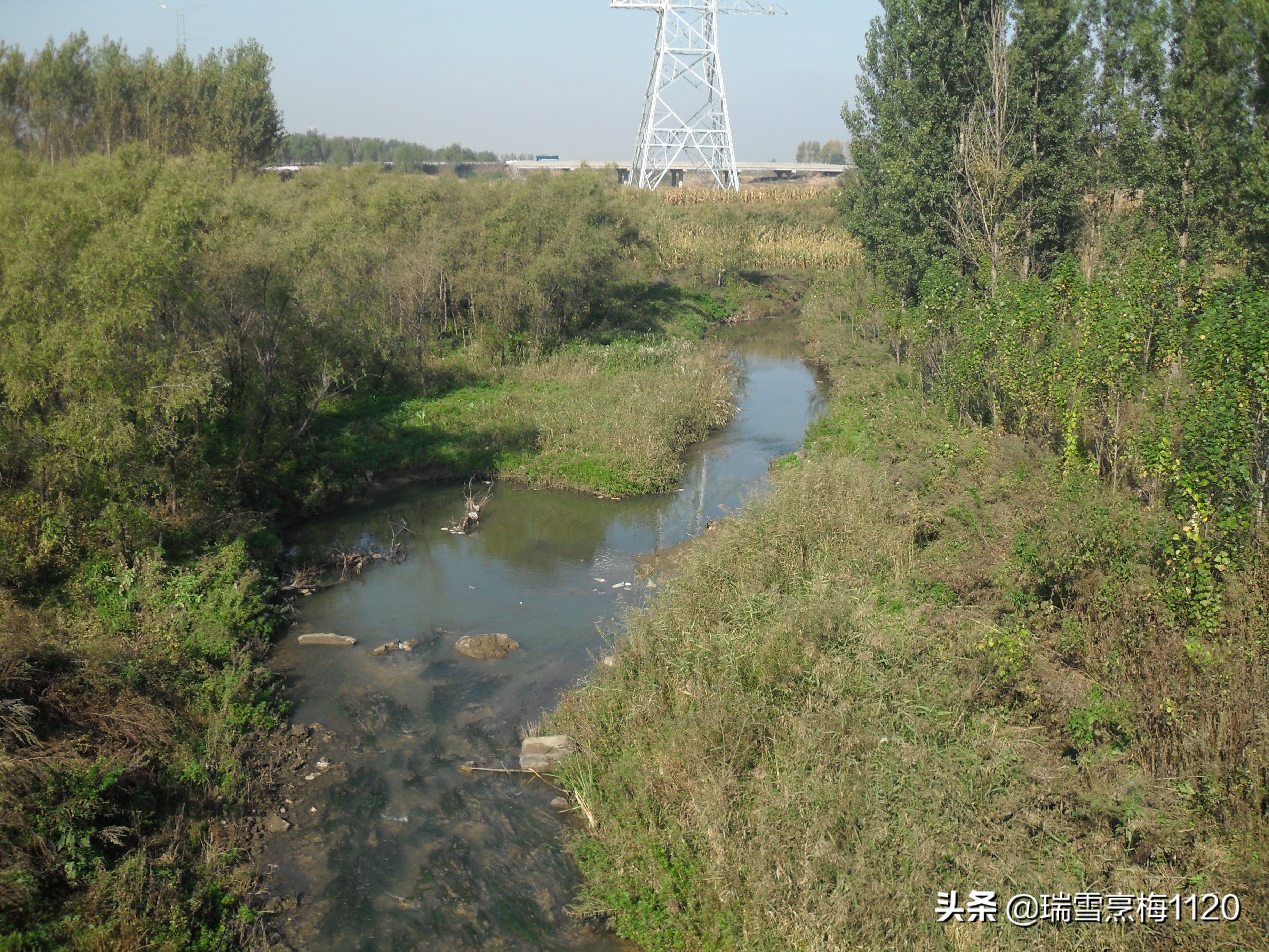沈北新区依路村,沈北新区马刚乡地图