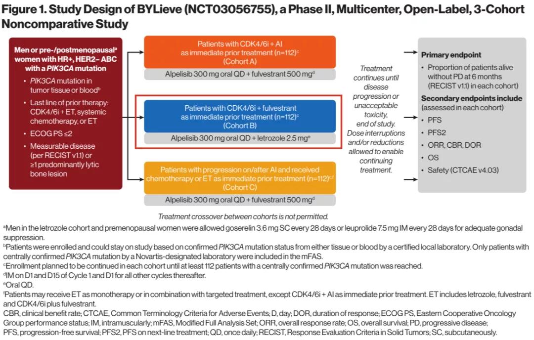 her2阳性乳腺癌能内分泌治疗吗,乳腺癌her2基因扩增治愈率