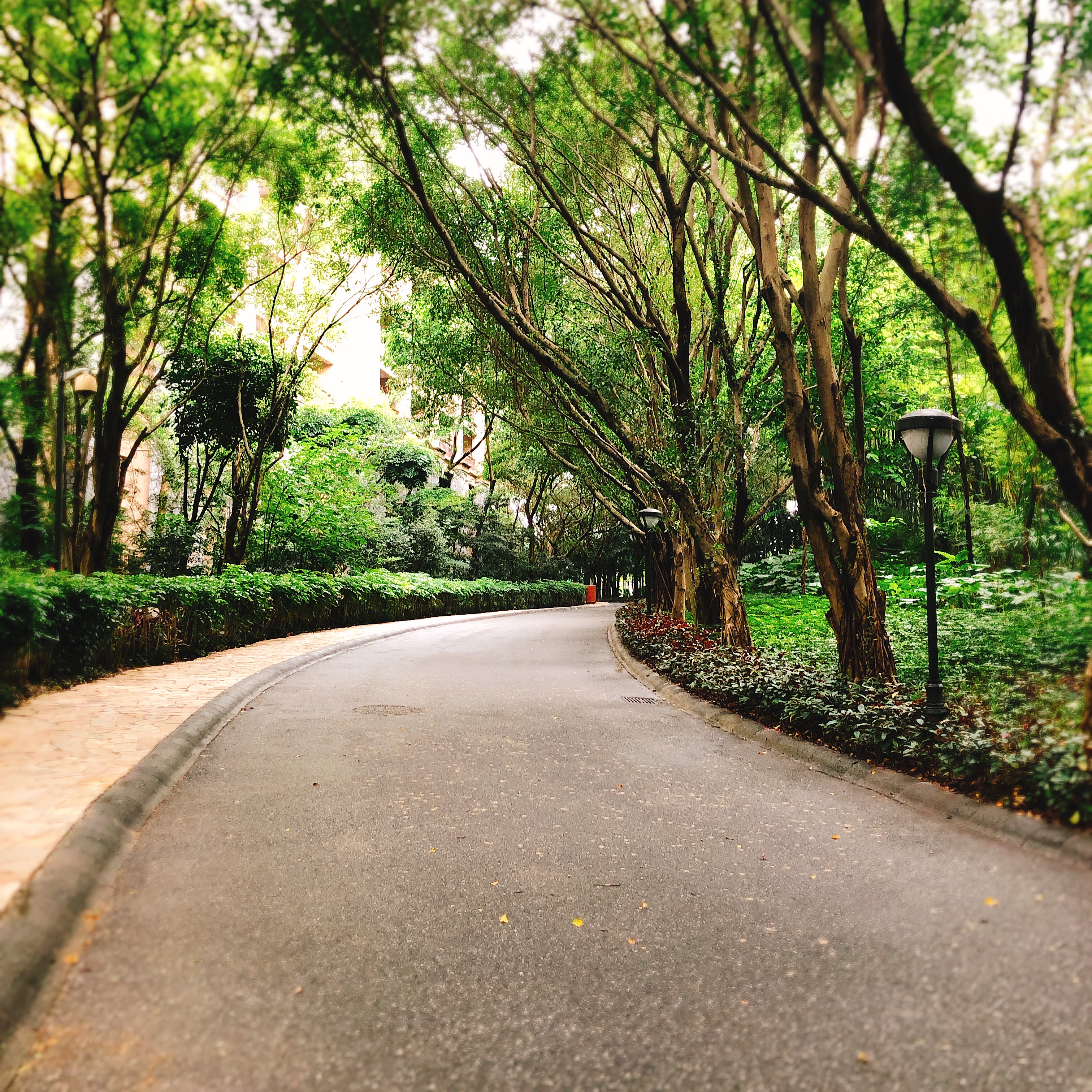 2-3天短途亲子游广东长隆,一家三口广州长隆旅游攻略