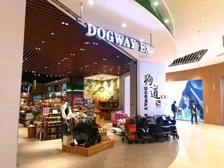 开宠物店一年能赚多少钱,开宠物店一个月能赚多少