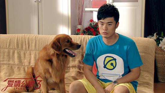 陈赫许婧现状,许婧为什么和陈赫离婚