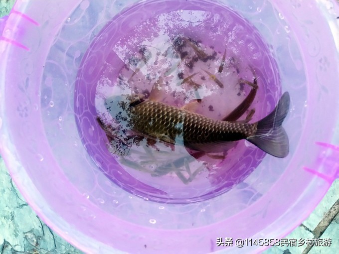 日月轩民俗农家院,密云捧河湾日月轩民宿农家乐