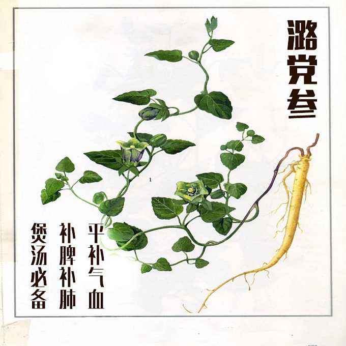 通过民间故事话*党**参，去了解如何使用它，以及*党**参的功效与作用