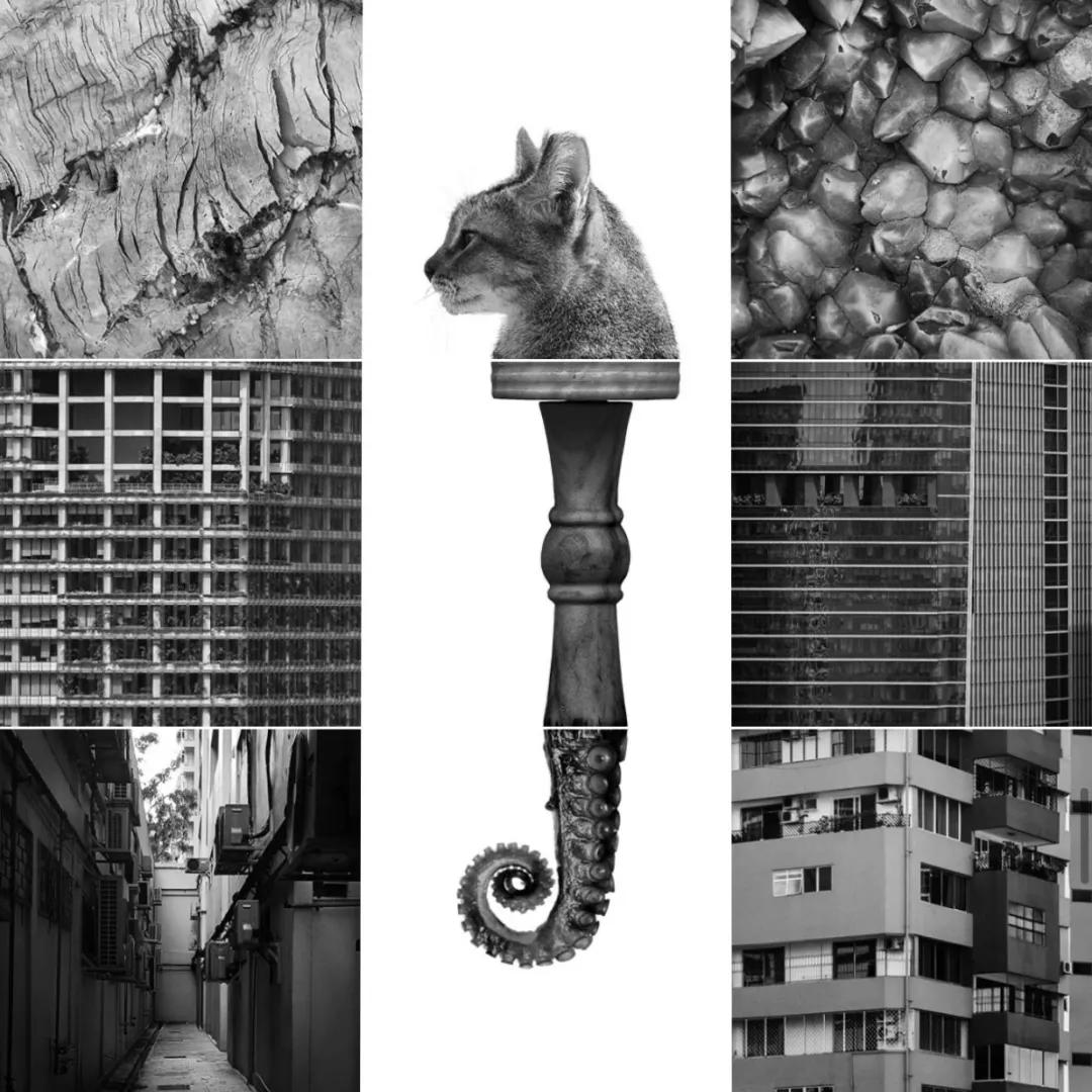 晒一晒九宫格图片,怎么晒九宫格