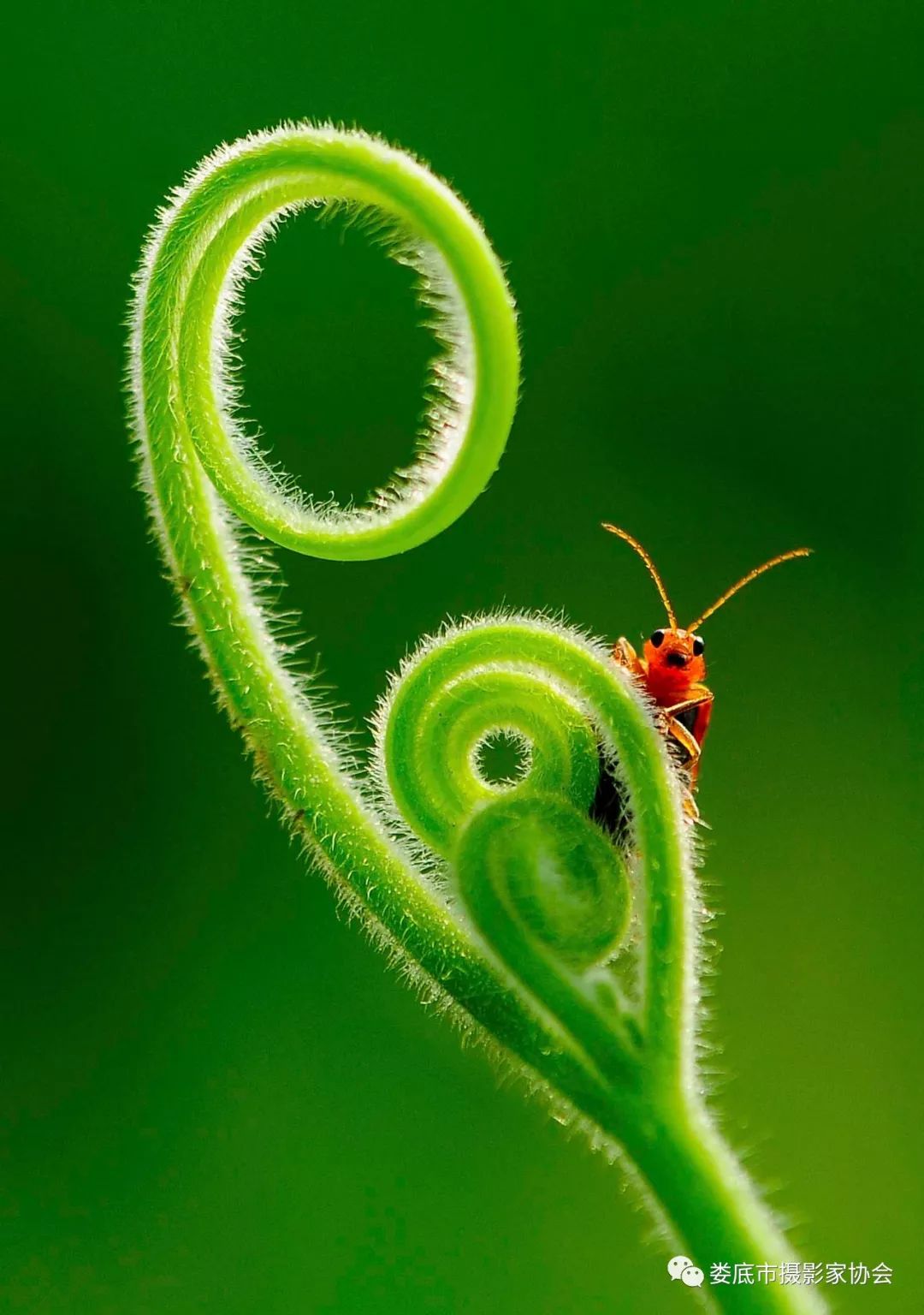 最新风景摄影小品欣赏,娄底景观小品