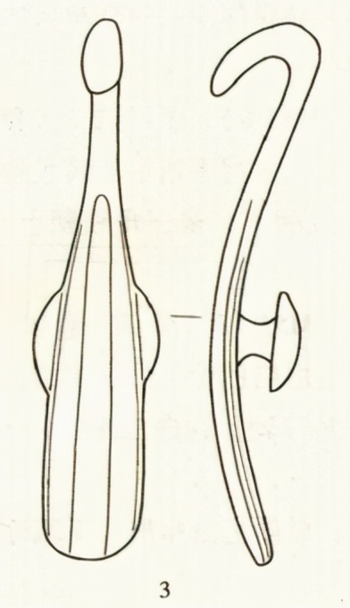 柳林杨家坪古墓,柳林县出土文物