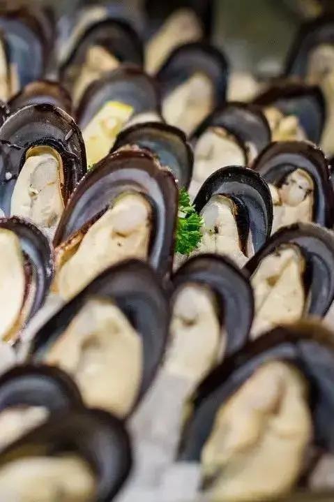 鑸屽皷涓婄殑缇庨娣卞害涔嬫梾,甯︿綘浜彈鑸屽皷涓婄殑缇庨