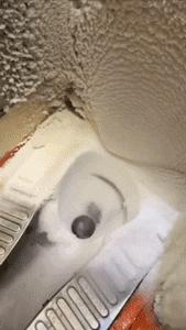 搞笑动图表情包,搞笑动图gif微信表情包