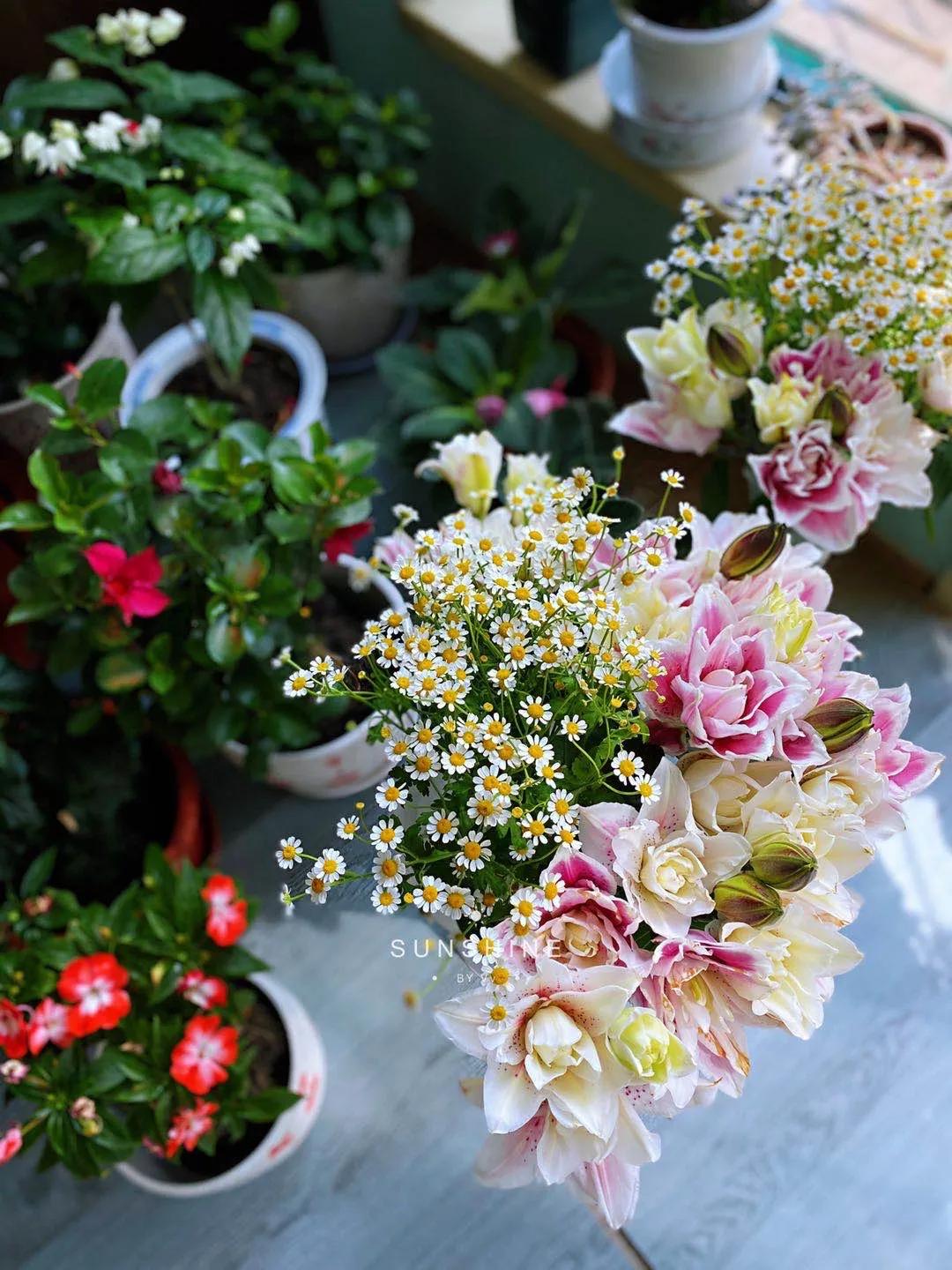 100个稀奇古怪的赚钱点子,最不可思议的搞钱方式