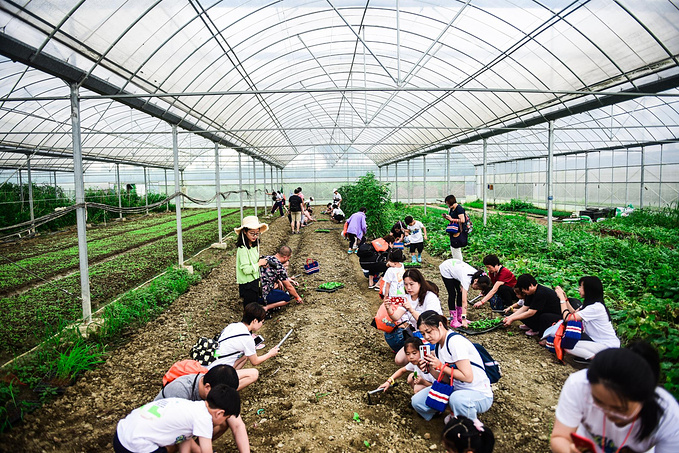 乌村暑期夏令营，吃喝玩乐在这里