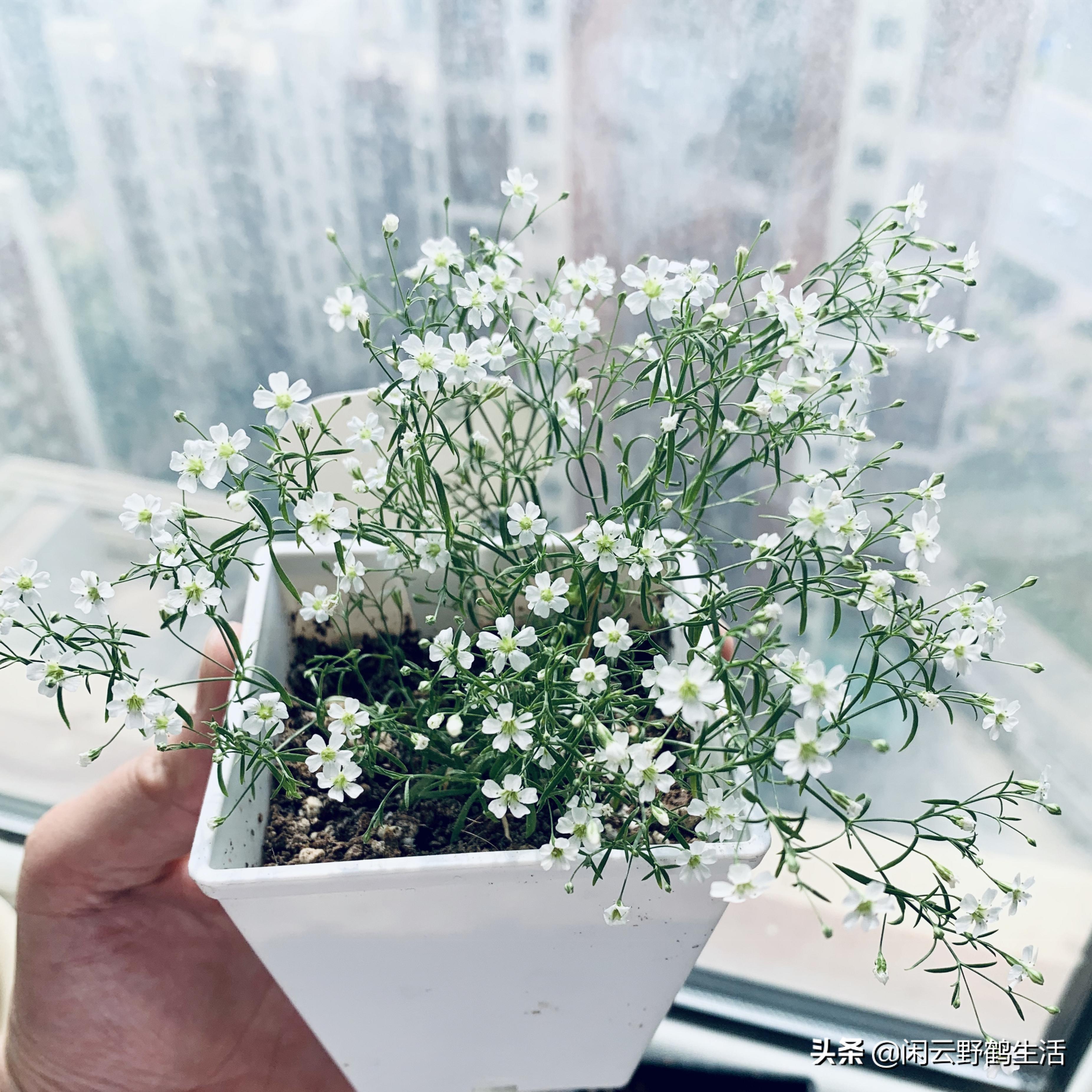 寓教于乐中成长与学习,寓教于乐中得到收获