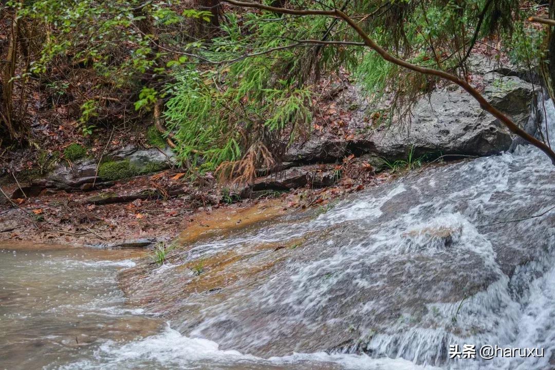 南方也能下雪吗,南方也能见到雪