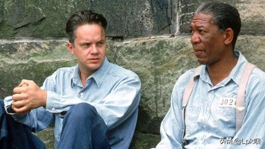 一年的观影记录,令人心酸的观影报告