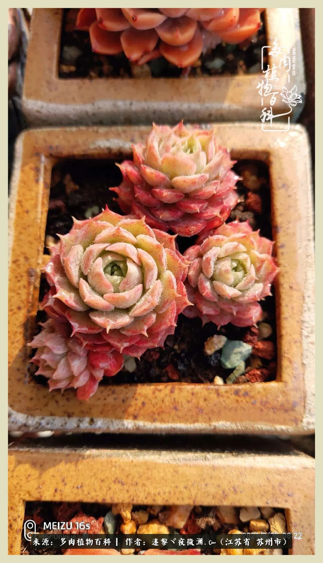 秋尽冬来岁月不居时节如流,岁月不居时节如流水