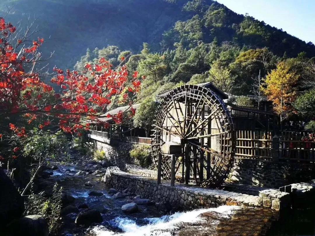 贺州新春节活动安排,贺州元宵节活动