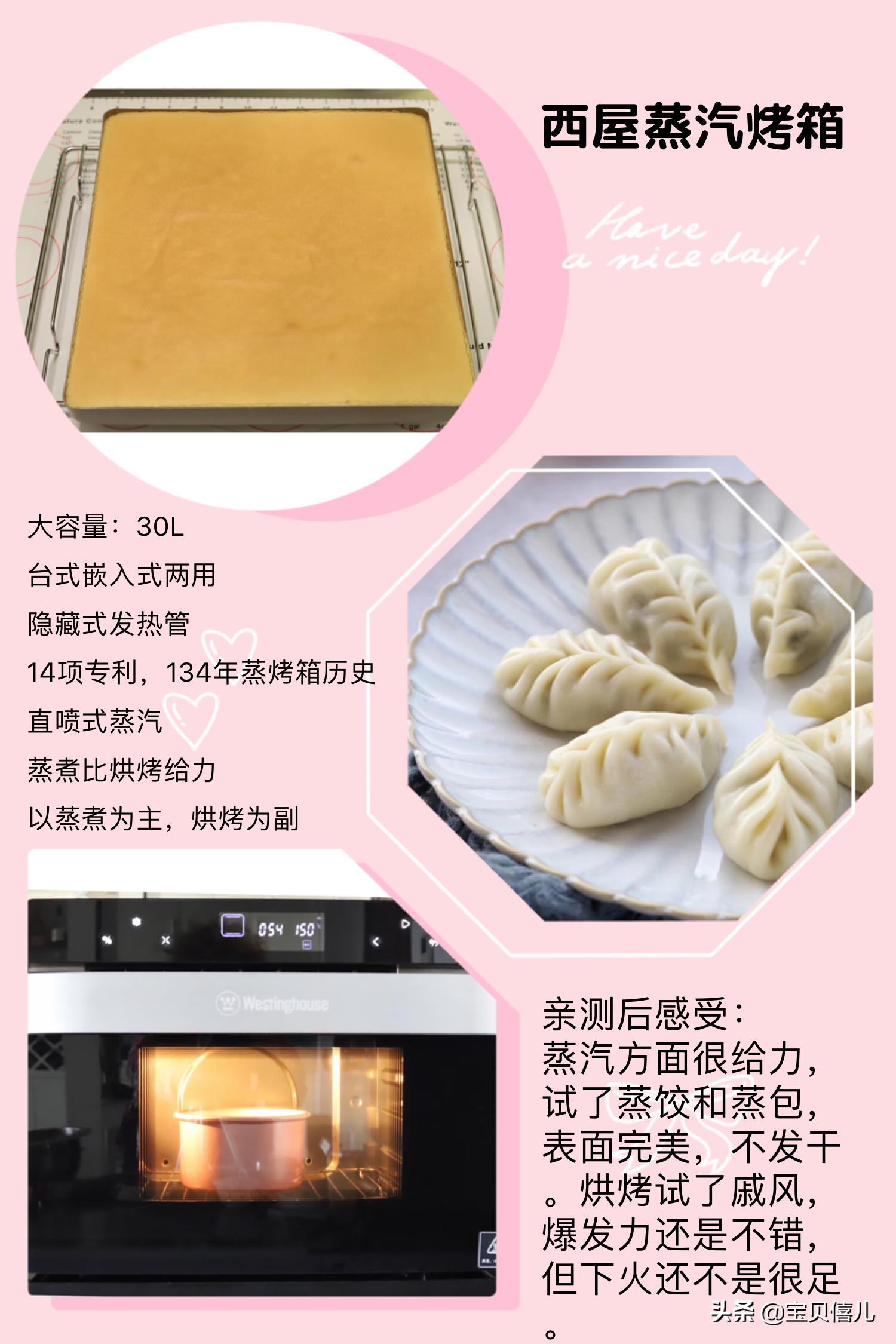 烤箱那么多牌子该怎么选择,各品牌烤箱