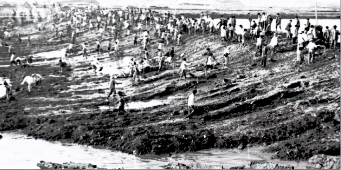 苏商精神传承,离土不离乡