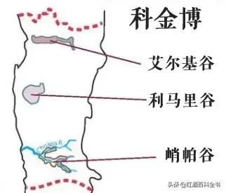 澳洲酒和智利酒,澳洲酒和智利酒的区别
