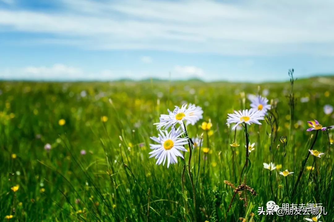 若尔盖三日游自驾游超详细攻略,若尔盖环线自驾游攻略地图