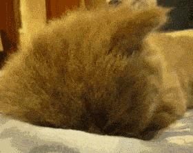 华西睡眠科真能治疗失眠吗,并不是所有的睡不着都叫失眠