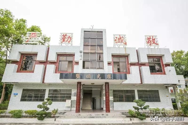 惠州镇隆荔枝什么品种,惠州镇隆自摘荔枝在哪