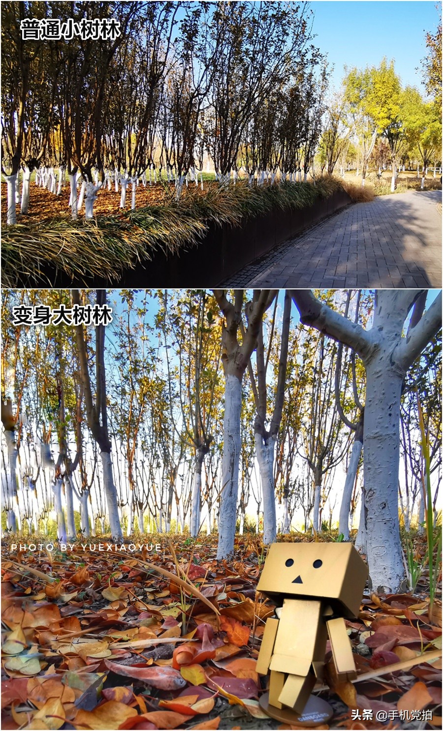 生活小妙招手机摄影,生活小妙招如何拍出爆款