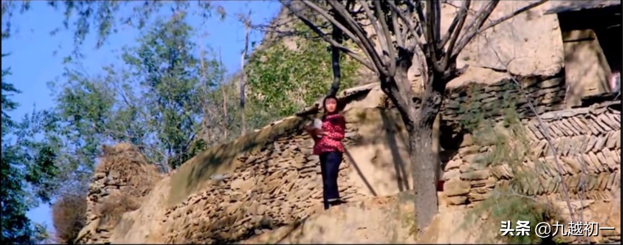 《人生》：高加林的青春之歌，是他和土地之间的“命运交响曲”