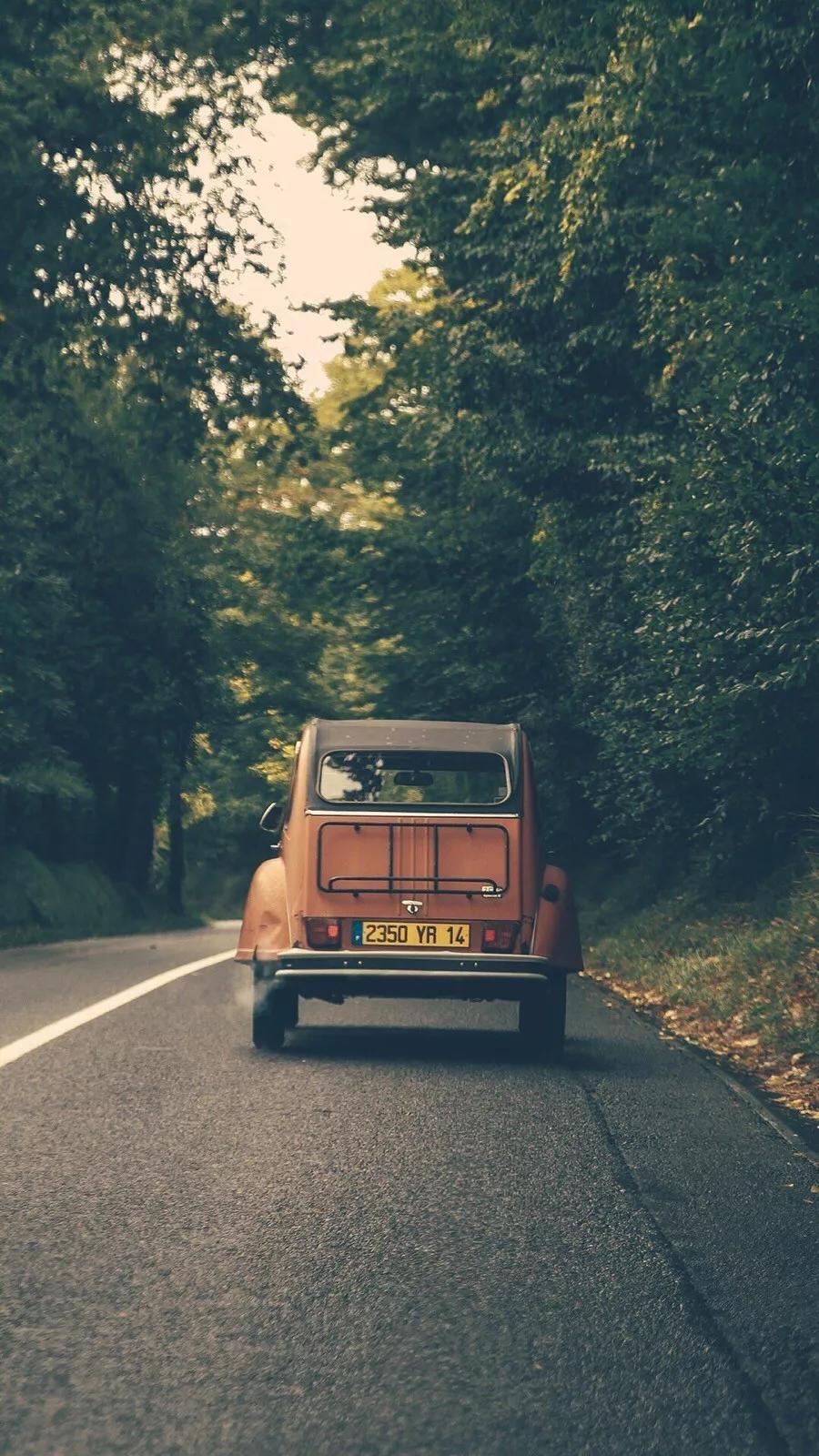 关心孤寡老人该做什么,老年人克服孤独感的措施