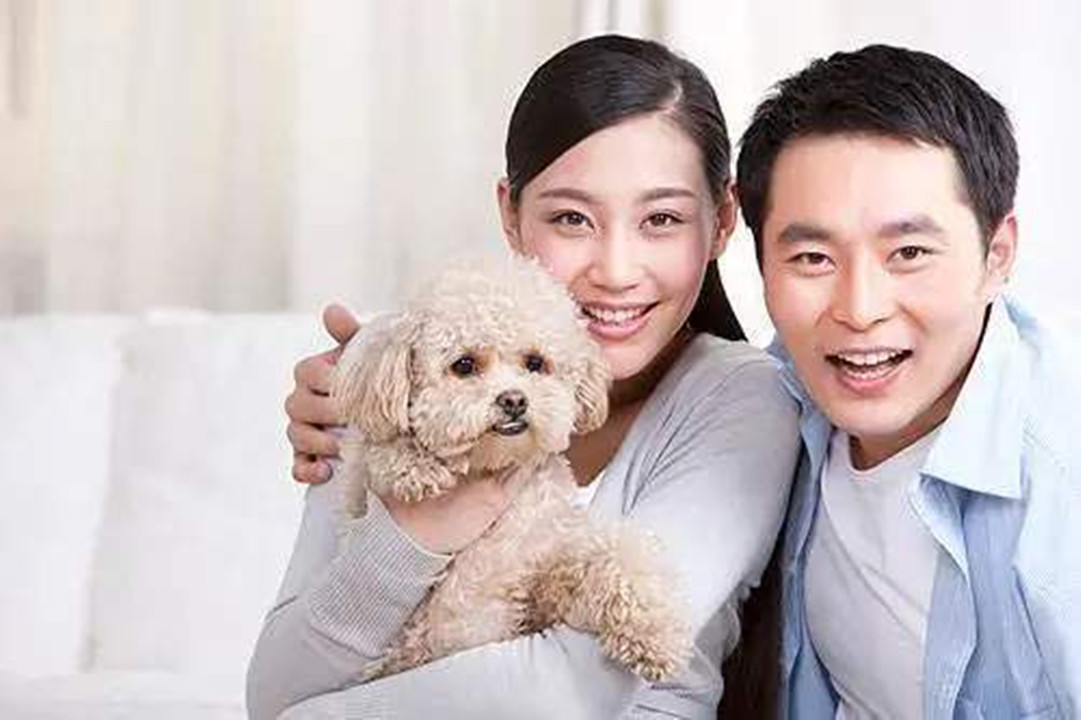 丁克族劝年轻人不生孩子不对,为什么丁克族不生孩子