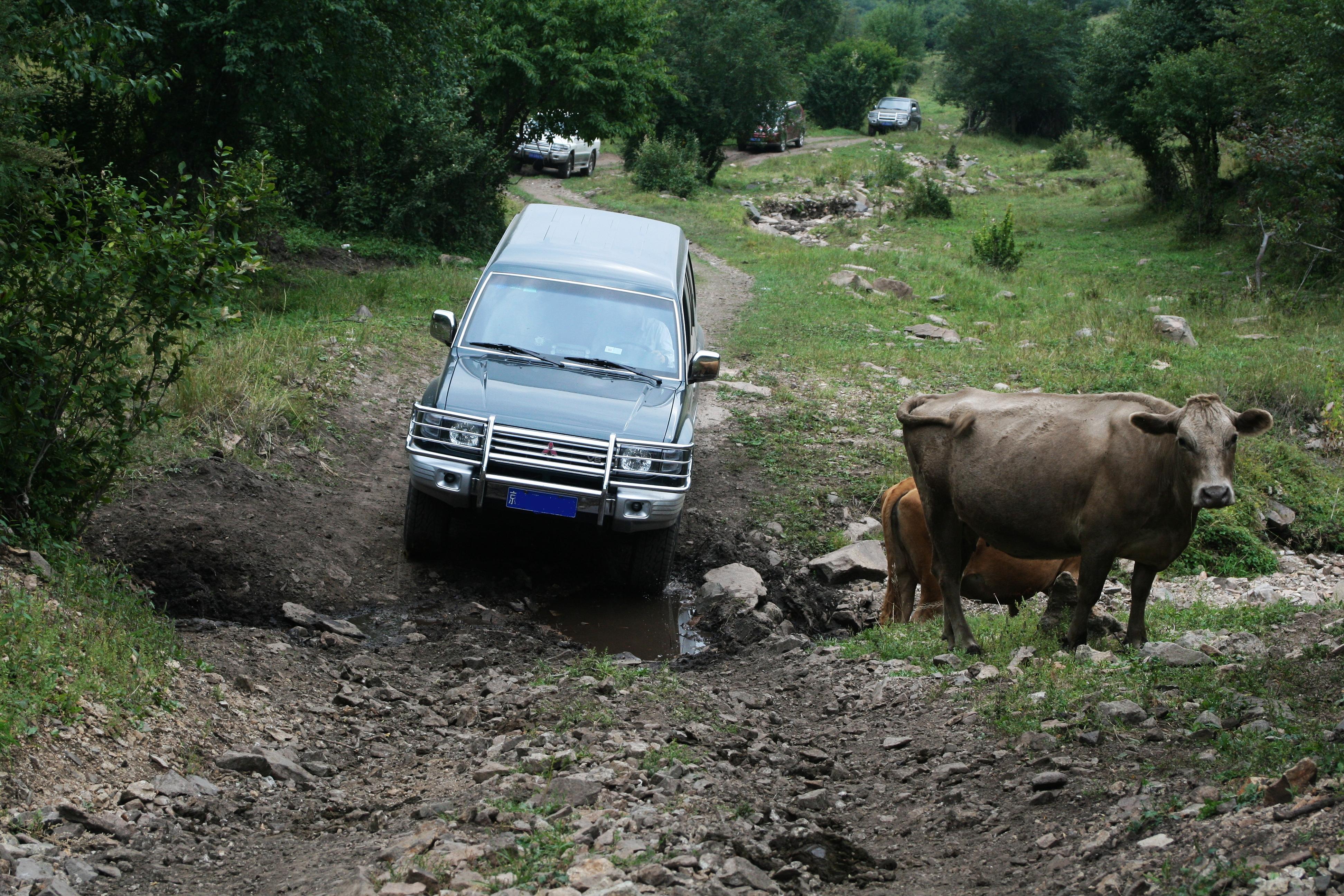 怎么区分各款猎豹车型,猎豹怎么区分原装4驱还是后改的