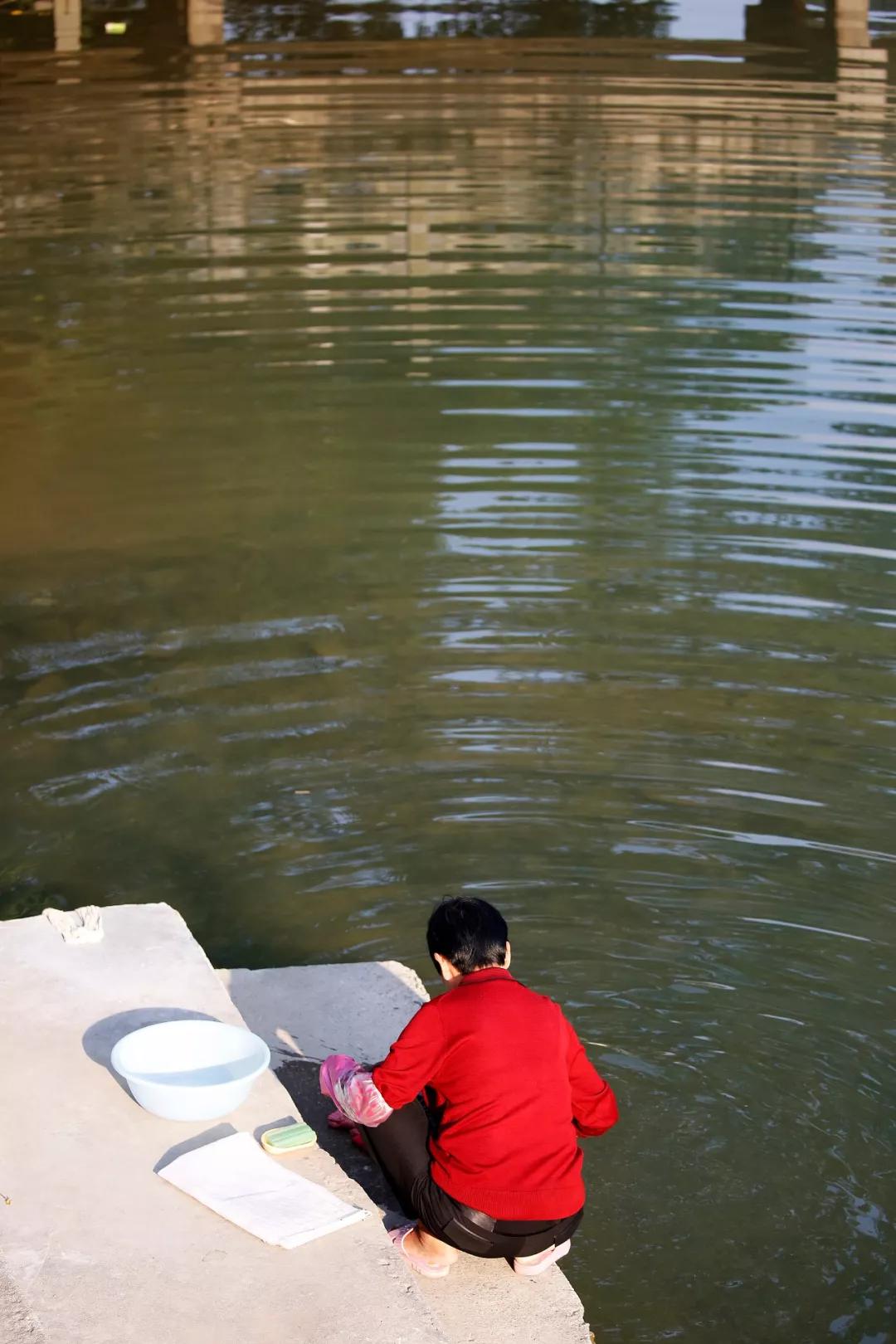 西龙溪畔的竹源榕树下