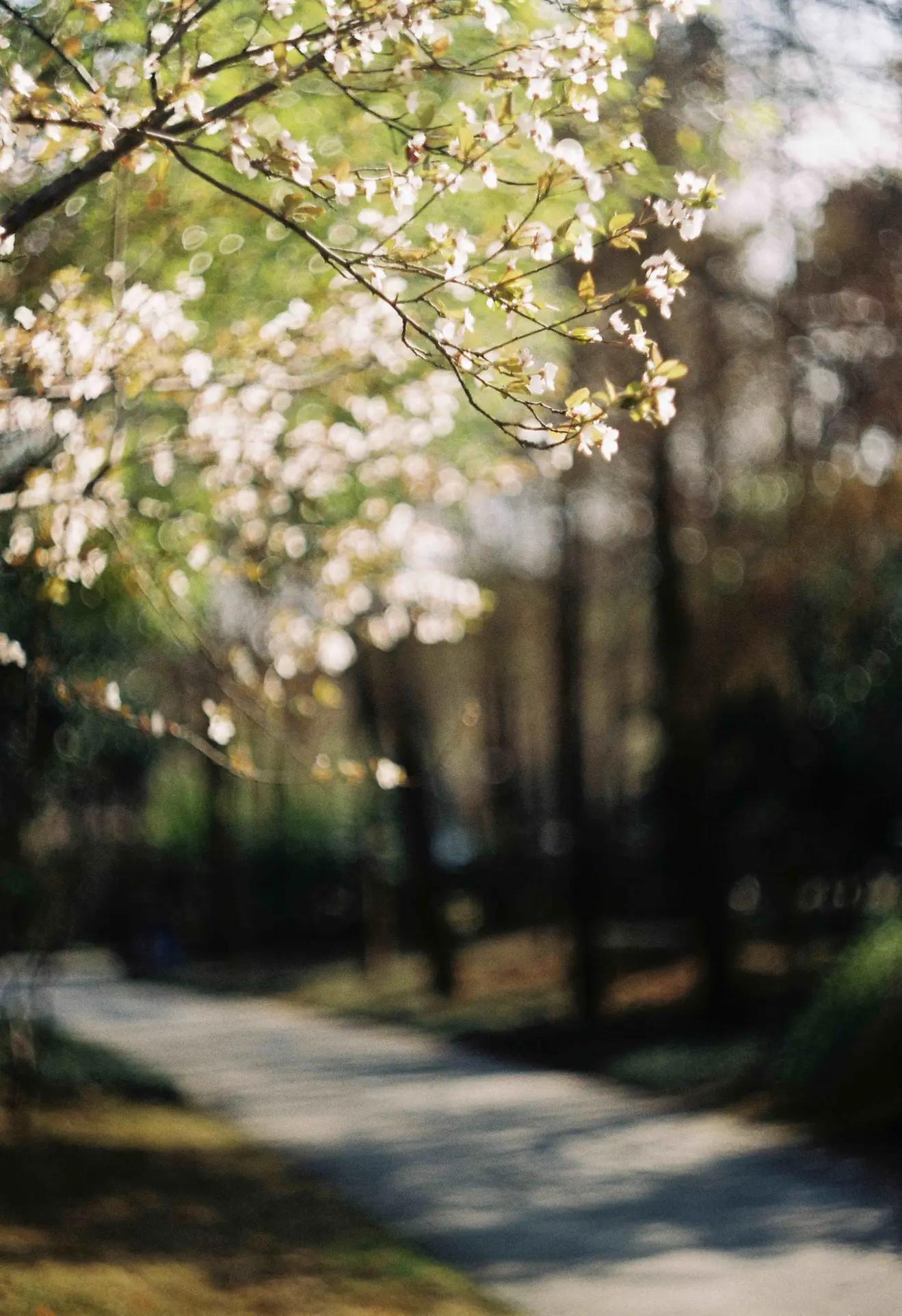 是谁发明了彩色相机,康泰时相机发展史