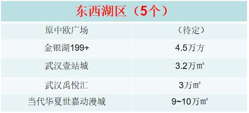 武汉近期开业的大型商业体,2022年武汉即将开业商业