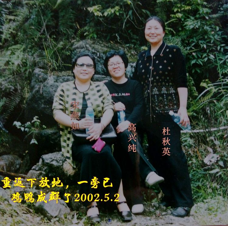 难以释怀的知青情结,60年代的知青情结