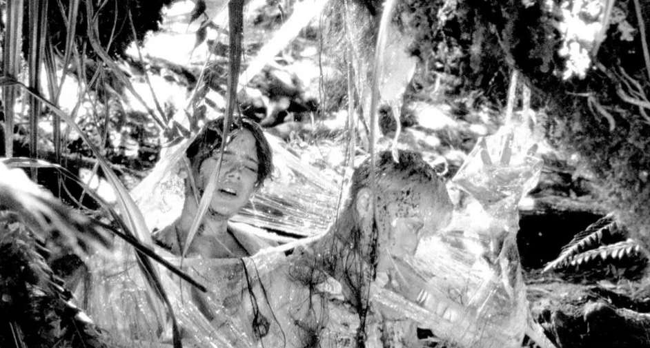 年度十佳之冠，竟然是这样的限制级！