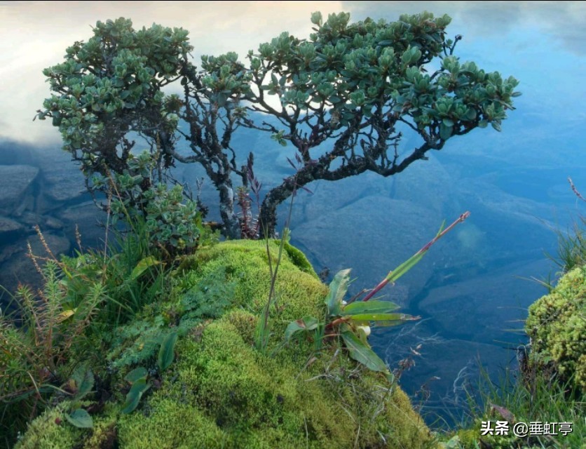 春日偶成宋程颢表达的情感,程颢春日偶成讲解赏析