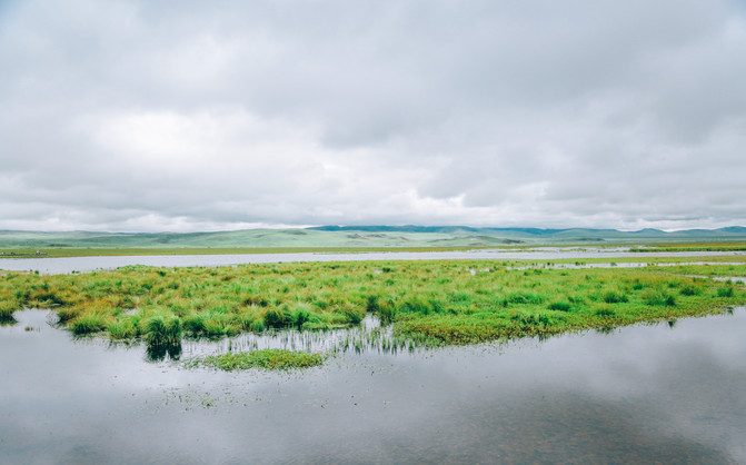若尔盖5日游推荐,成都九寨沟黄龙若尔盖深度游