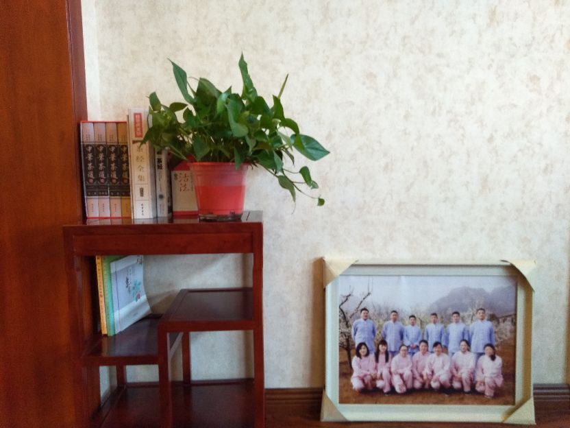 全国各地茶艺培训,专业生活茶艺培训