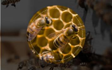 把自己仿成名人名画，化妆技术堪比易容，这个美妆博主真给力！