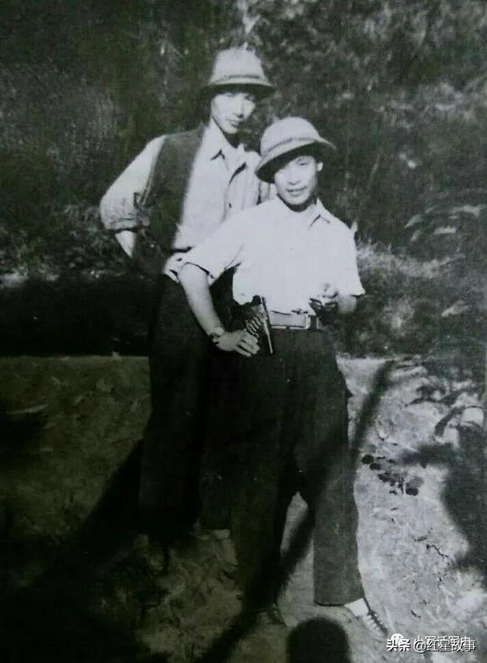 112师炮兵团火箭炮营,陆军38军112师炮兵团