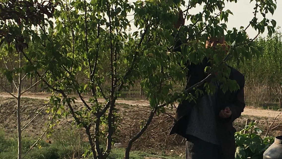 五律野庐刘晓楷诗词专